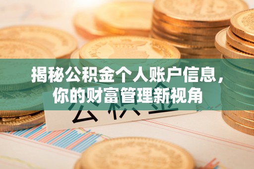 舟山新区揭秘公积金个人账户信息，你的财富管理新视角