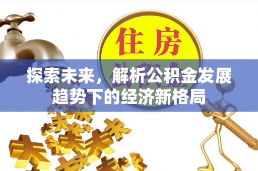 舟山新区探索未来，解析公积金发展趋势下的经济新格局