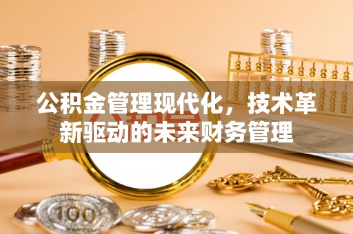 舟山新区公积金管理现代化，技术革新驱动的未来财务管理