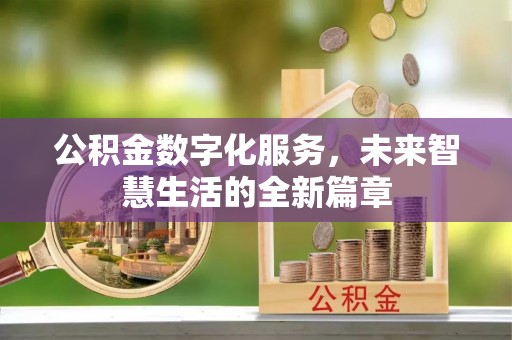 舟山新区公积金数字化服务，未来智慧生活的全新篇章