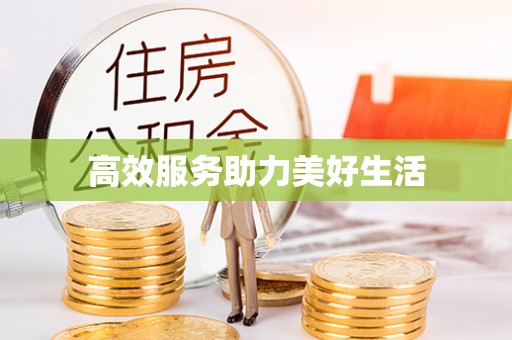 舟山新区高效服务助力美好生活