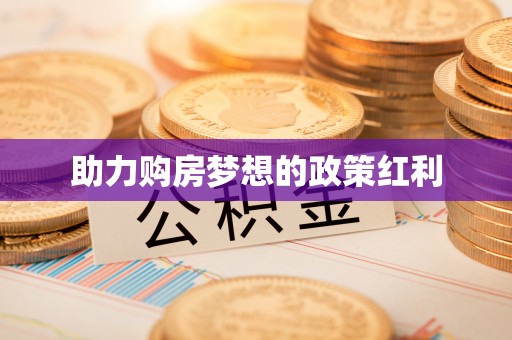 舟山新区助力购房梦想的政策红利