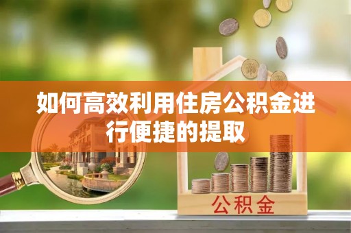 舟山新区如何高效利用住房公积金进行便捷的提取