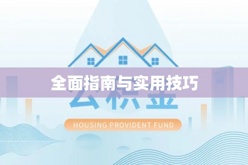 舟山新区全面指南与实用技巧