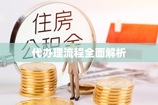 舟山新区代办理流程全面解析