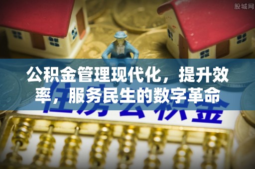 舟山新区公积金管理现代化，提升效率，服务民生的数字革命