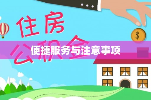 舟山新区便捷服务与注意事项