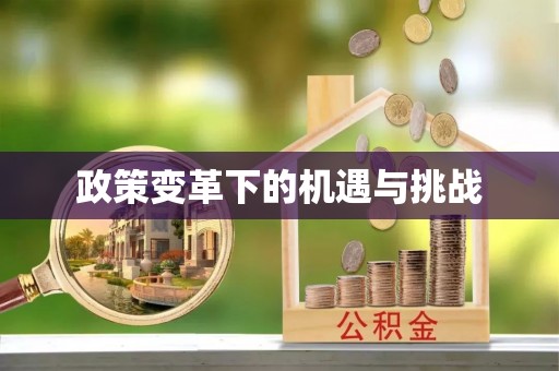 舟山新区政策变革下的机遇与挑战