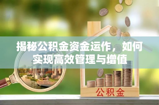 舟山新区揭秘公积金资金运作，如何实现高效管理与增值