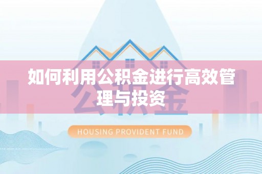 舟山新区如何利用公积金进行高效管理与投资
