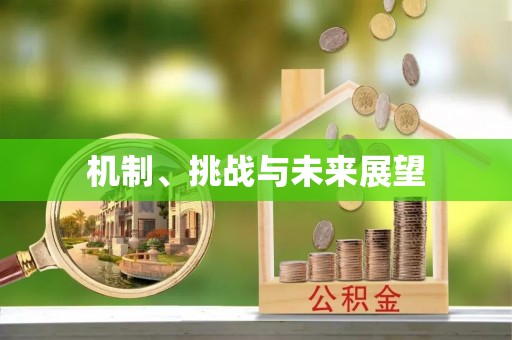 舟山新区机制、挑战与未来展望