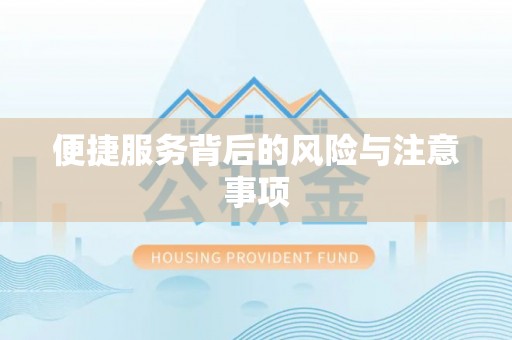 舟山新区便捷服务背后的风险与注意事项
