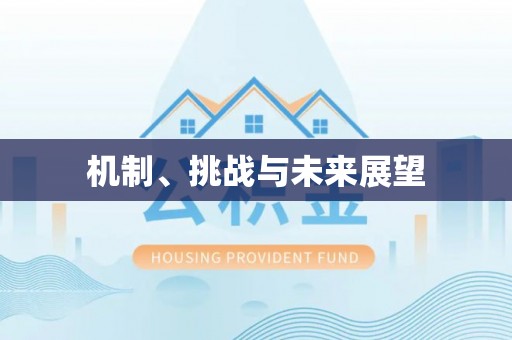 舟山新区机制、挑战与未来展望